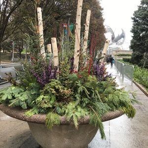 Meet your Posher, Brenda